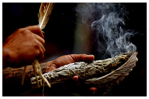 Smudging Your House - BUY YOUR WHITE SAGE HERE!