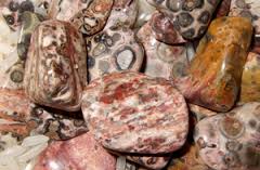 Leopard Skin Jasper natural polished rocks - How to Find Your Authentic Self